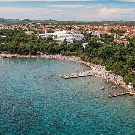 Andrea Vodice